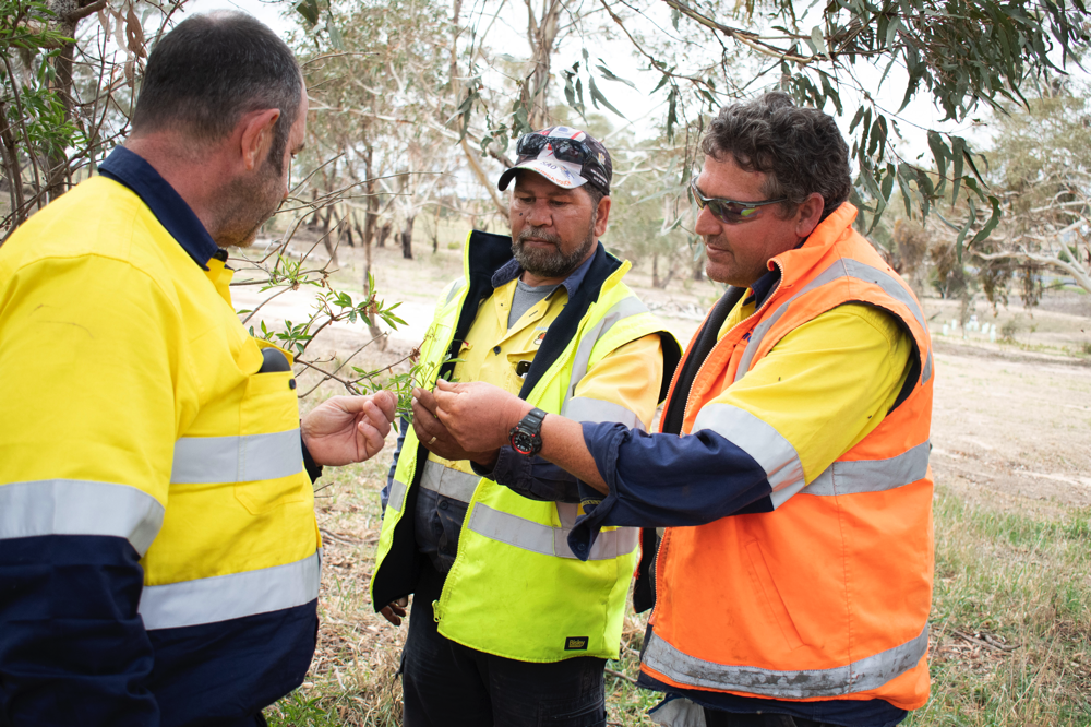 Aboriginal Cultural Capability