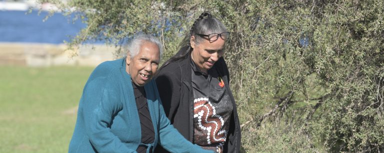 Image for More Jobs More Care’ to build up more Aboriginal NDIS Providers in Western NSW
